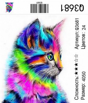РН Q3681 "Радужный котенок", 40х50 см