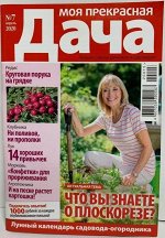 ПИ МОЯ ПРЕКРАСНАЯ ДАЧА 7/20