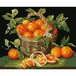 Набор алмазной вышивки «Сочные апельсины»