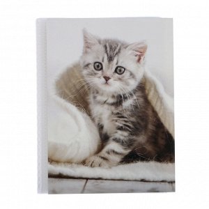 Фотоальбом на 36 фото 10х15 см Pioneer Puppies and kittens котенок