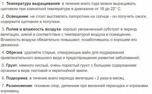 Щитовник Диаметр 8.5
Высота	20 Cm

Своевременно удаляйте старые, поникающие вайи в основании розетки для поддержания привлекательного внешнего вида папоротника.

Умеренно - теплое содержание, щитовник