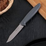 Нож для овощей Tramontina Plenus, лезвие 7,5 см, сталь AISI 420