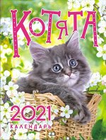 Календарь на магните на 2021 год &quot;Кошки&quot;