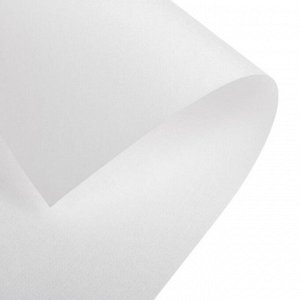 Папка для акварели А3, 297 х 420 мм, 10 листов, блок бумага ГОЗНАК «Холст», 200 г/м2