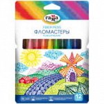 Фломастеры Гамма &quot;Классические&quot;, 12цв., смываемые, картон. упак., европодвес