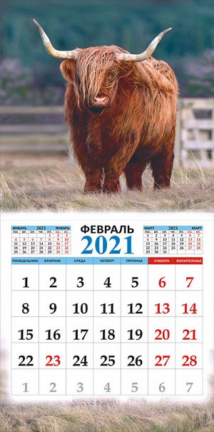 МАЛЫЙ перекидной настенный календарь на скрепке на 2021 год "Символ года - Бык"