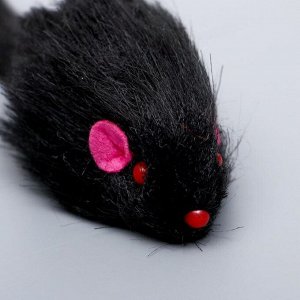 Дразнилка-удочка с чёрной мышью, микс цветов