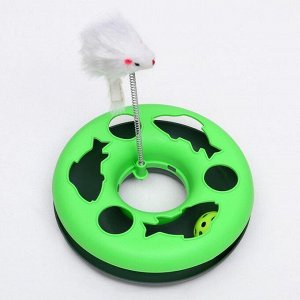 Игрушка для кошек "Загадочный круг", мышь на пружине и шарик, 23 х 7 см, микс