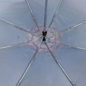 Зонт облегченный, 350гр, автомат, 102см, FABRETTI L-20131-9
