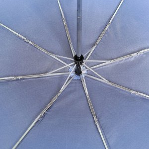 Зонт облегченный, 350гр, автомат, 102см, FABRETTI L-20125-8