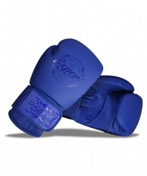 Перчатки боксерские FIGHT EXPERT BGS-V010, синий, 10 oz