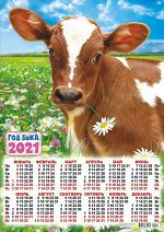 Листовой календарь на 2021 год А3 &quot;Символ года - Бык&quot;