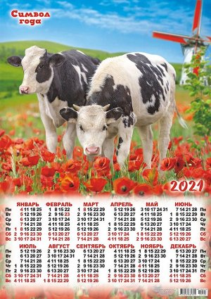 Листовой календарь на 2021 год А2 "Символ Года - Бык"
