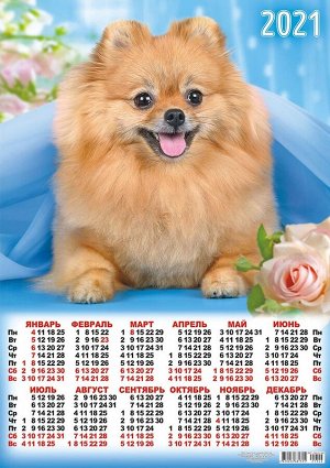 Листовой календарь на 2021 год А2 "Собаки"