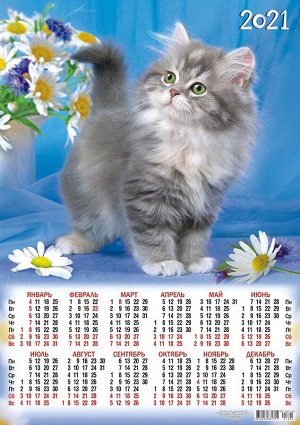 Листовой календарь на 2021 год А2 "Кошки"