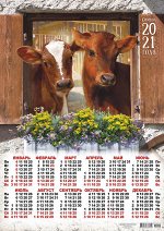 Листовой календарь на 2021 год А2 &quot;Символ Года - Бык&quot;