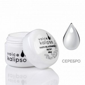 ГЕЛЬ-ПАСТА PASTE GEL & STAMPING VOICE OF KALIPSO, ЦВЕТ СЕРЕБРО, 5 МЛ