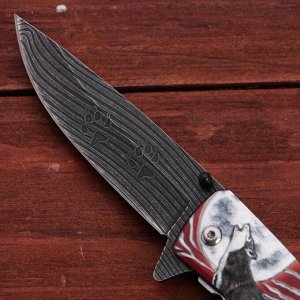 Нож складной "Вожак" сталь - 95х18, рукоять - венге, 23 см