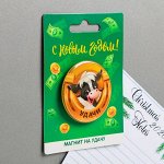 Магнит закатной «Удачи», 8 х 11 см