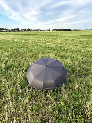 Зонт мужской GALAXY premium 10 спиц Арт. 3010 AF М