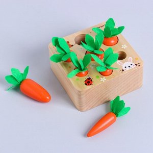 Развивающий набор «Посади разные морковки», 12,5 ? 12,5 ? 5,5 см