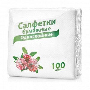 Салфетки бумажные 24*24 см однослойные белые с микротиснением, day spa, 100шт