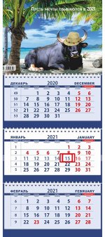 Б_003 Календарь квартальный на 2021 год «ТРИО БОЛЬШОЙ»
