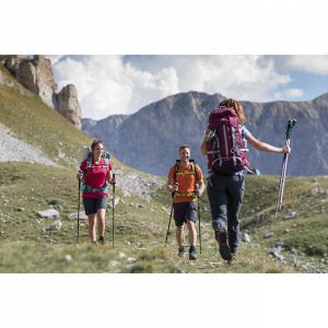 Ботинки кожаные для треккинга непромокаемые мужские TREKKING 100 FORCLAZ