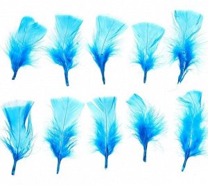 Набор перьев для декора 10 шт размер 1 шт 10 х 4 см цвет насыщенно Голубой