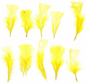 Набор перьев для декора 10 шт размер 1 шт 10 х 4 см цвет Желтый