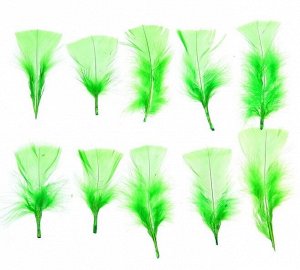 Набор перьев для декора 10 шт размер 1 шт 10 х 4 см цвет Светло-зеленый