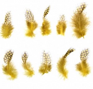 Набор перьев для декора 10 шт размер 5 х 2 см цвет Желтый с Коричневым