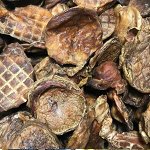 Лакомства для собак в ассортименте