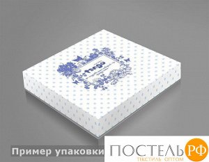 КПБ Tango Twill евро 4 наволочки TPIG6-908 TPIG6-908 КОД1038 (Подарочная Коробка)