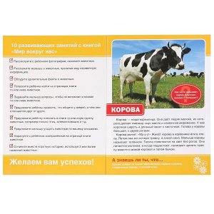 978-5-506-01633-5 (30) "УМКА". ДОМАШНИЕ ЖИВОТНЫЕ (ЭНЦИКЛОПЕДИЯ А4 С РАЗВИВАЮЩИМИ ЗАДАНИЯМИ) 214Х290ММ, 16 СТР. в кор.30шт