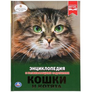 978-5-506-02698-3 "УМКА". КОШКИ И КОТЯТА (ЭНЦИКЛОПЕДИЯ А4 С РАЗВИВАЮЩИМИ ЗАДАНИЯМИ). ТВЕРДЫЙ ПЕРЕПЛЕТ в кор.15шт