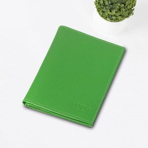 Обложка для паспорта и автодокументов, цвет зелёный
