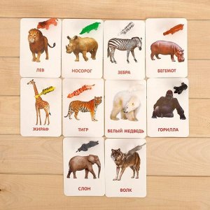 Развивающий набор с карточками «Дикие животные», по методике Домана