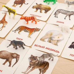 Развивающий набор с карточками «Дикие животные», по методике Домана