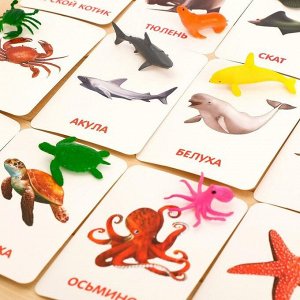 IQ-ZABIAKA Развивающий набор с карточками «Водные животные», по методике Домана
