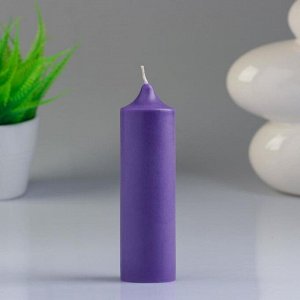 Свеча- цилиндр "Ягодная корзина" ароматическая, 4-13,5 см