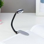 Светильник на прищепке &quot;Лоск, серая&quot; 1LED 25х2х3,5