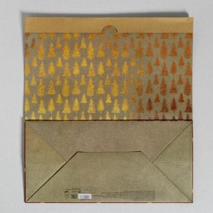 Пакет крафтовый «Загадай желание», 32 х 36 х 16 см