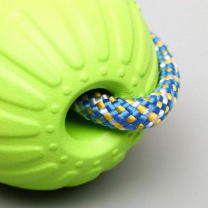 Мяч из EVA для дрессировки 7 см, на канате, микс цветов