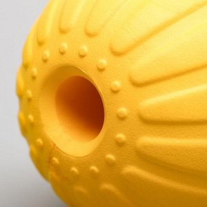 Мяч из EVA для дрессировки 9 см, микс цветов