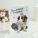 Открытка 4 шоколадки &quot;Для шлядкой и кавайной&quot;