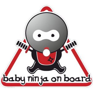 Baby ninja on board