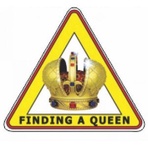 Finding a queen