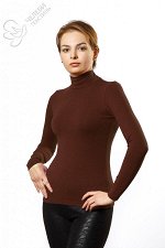 Женская водолазка Модель 1571