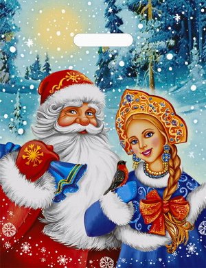 Пакет новогодний ПВД с вырубной ручкой "Дед Мороз и Снегурочка"